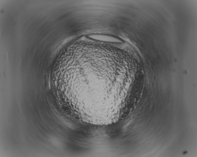 X0000070400062200606231813