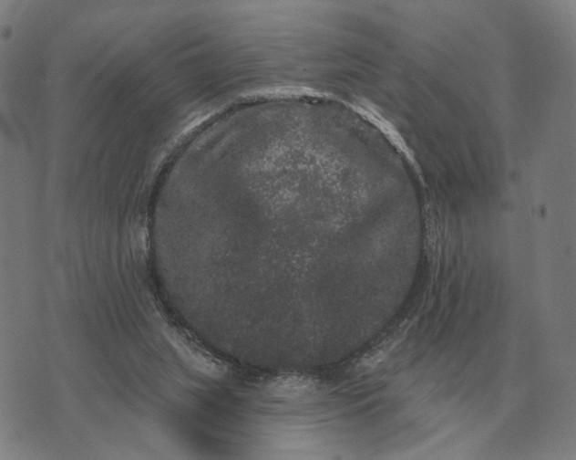 X0000070400063200606231813