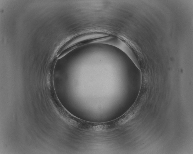 X0000070400064200606231813