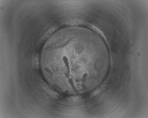 X0000070400065200606231813