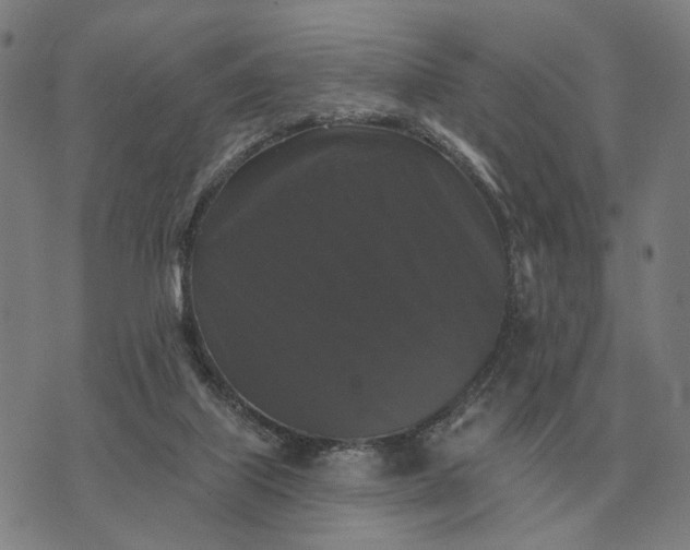 X0000070400067200606231813