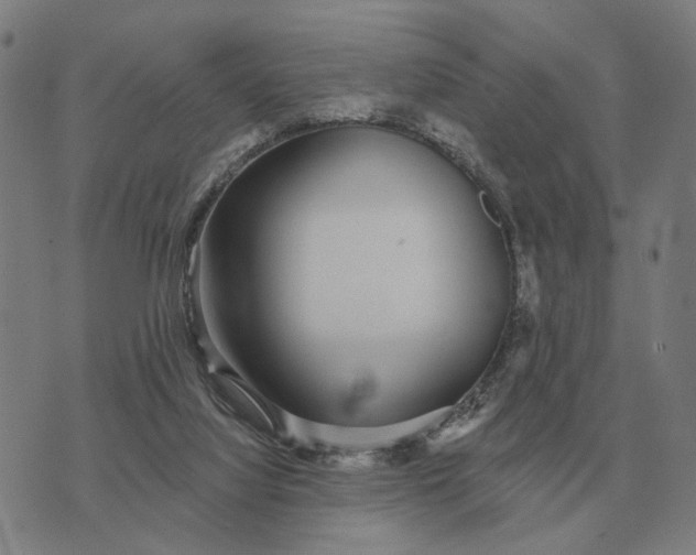 X0000070400068200606231813