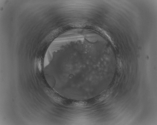 X0000070400069200606231813