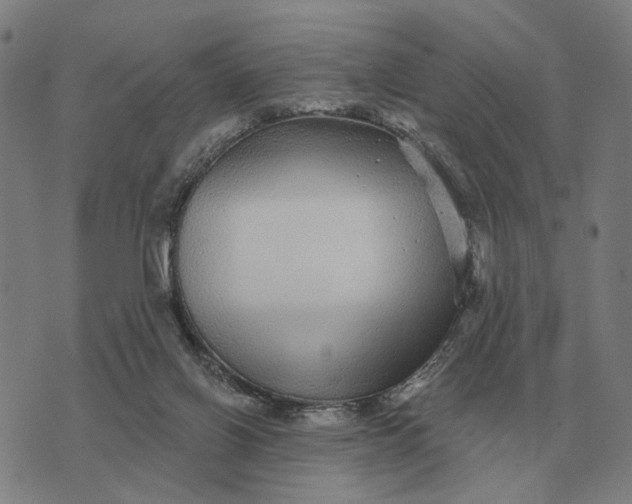 X0000070400070200606231813