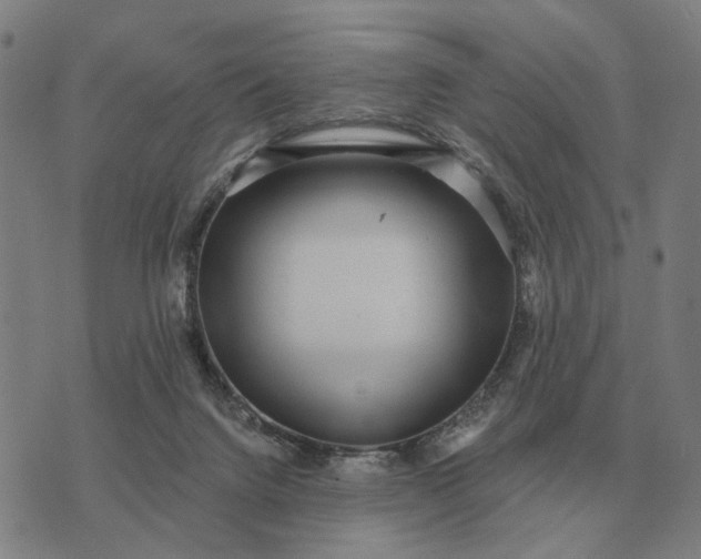 X0000070400072200606231813