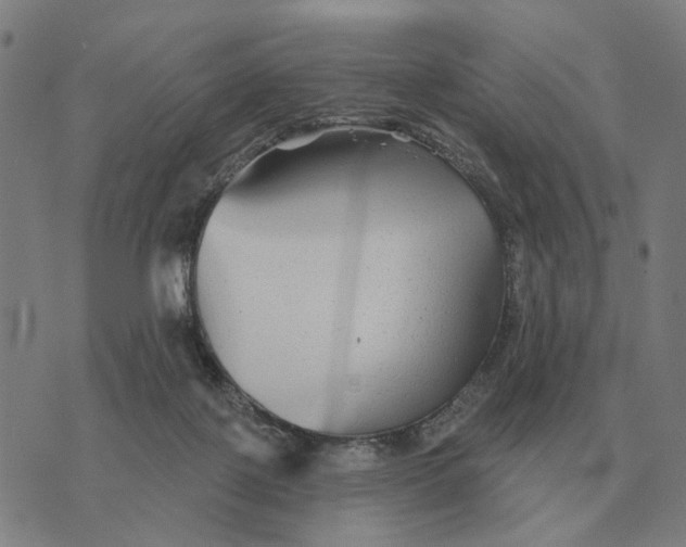 X0000070400075200606231813