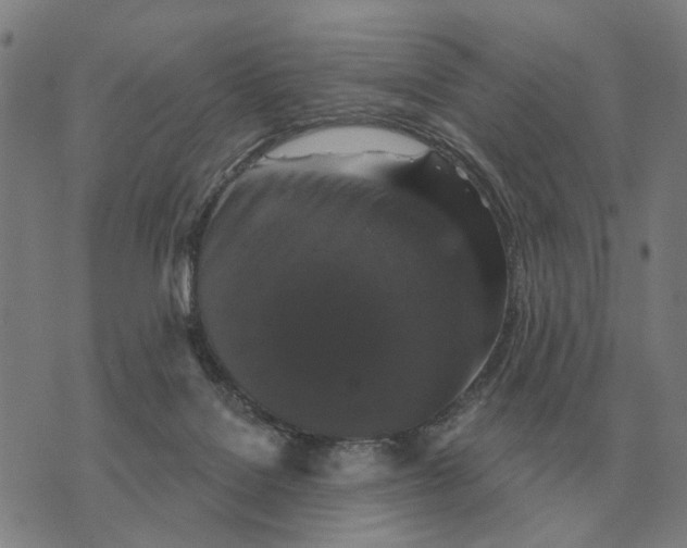 X0000070400076200606231813