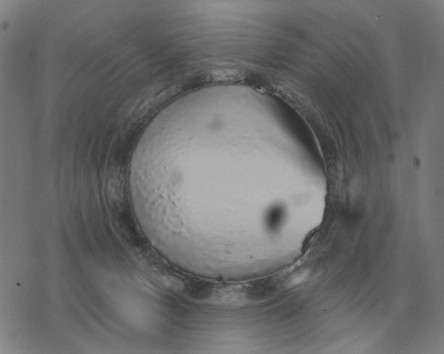 X0000070400078200606231813