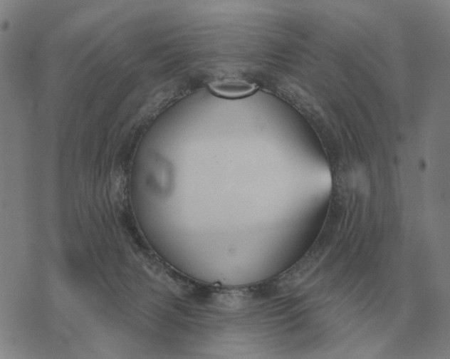 X0000070400079200606231813