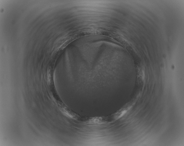 X0000070400080200606231813