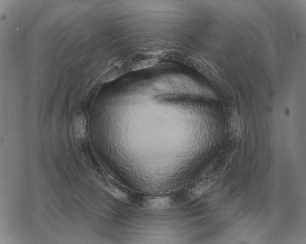 X0000070400081200606231813