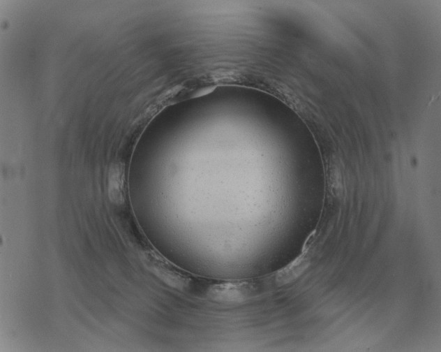 X0000070400082200606231813