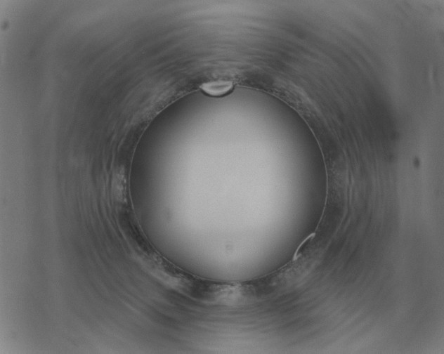 X0000070400083200606231813