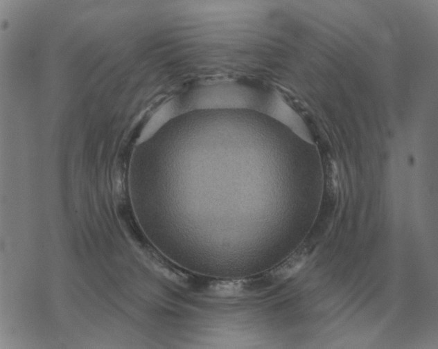 X0000070400084200606231813