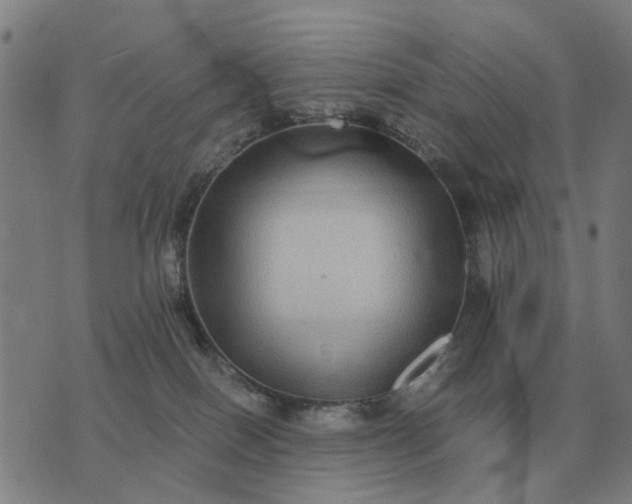 X0000070400086200606231813