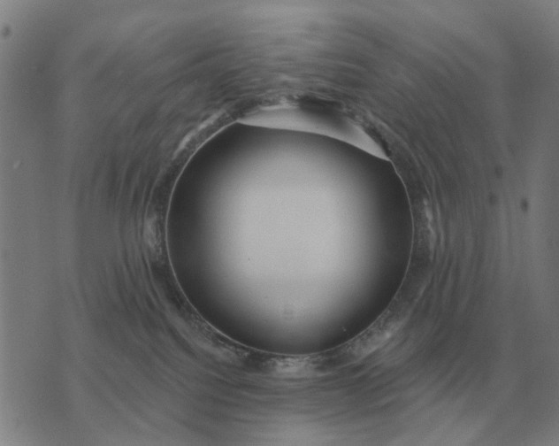 X0000070400088200606231813