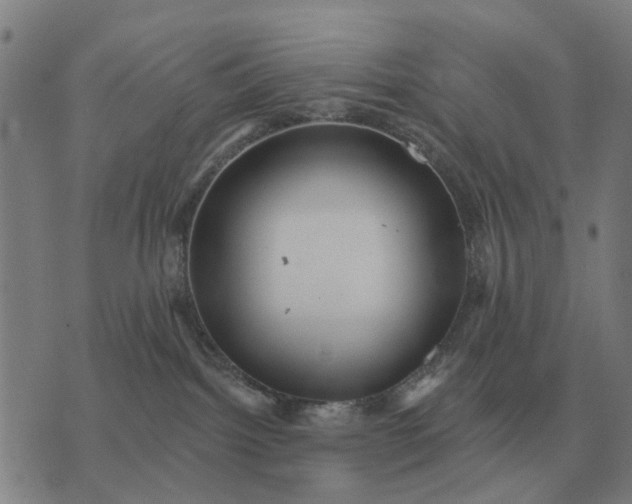 X0000070400092200606231813