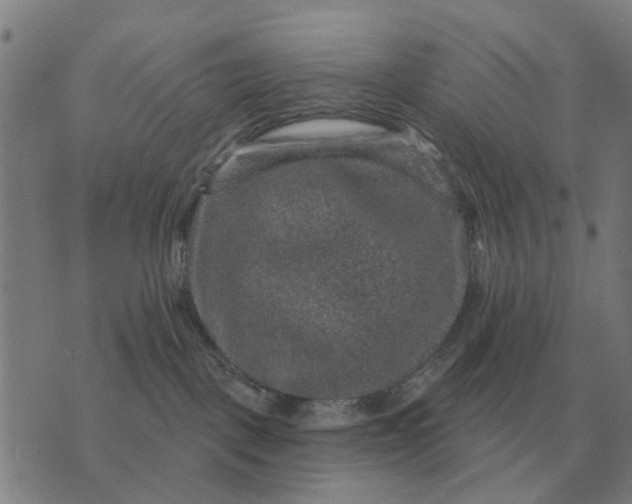 X0000070400093200606231813