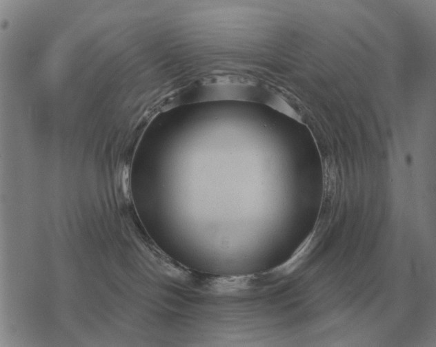 X0000070400094200606231813