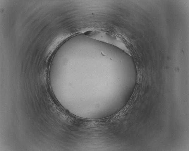 X0000070400098200606231812