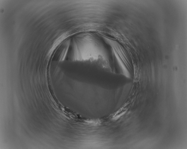 X0000070400099200606231812