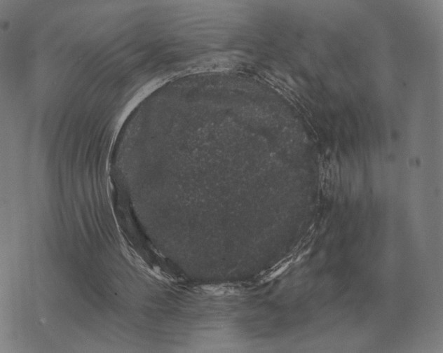 X0000070400100200606231812