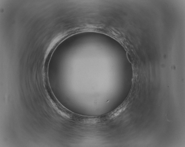 X0000070400102200606231812