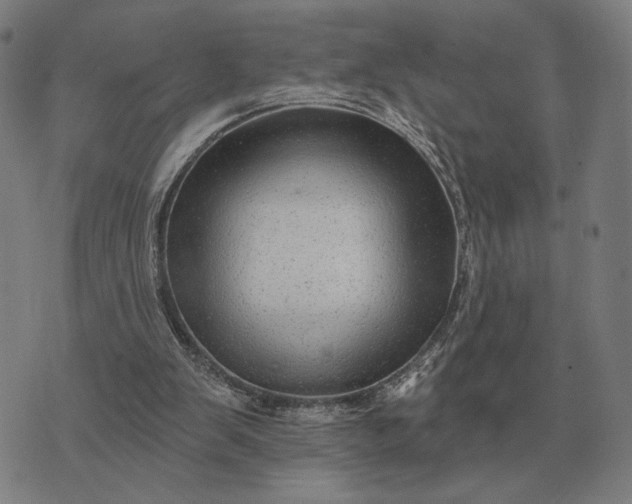 X0000070400103200606231812