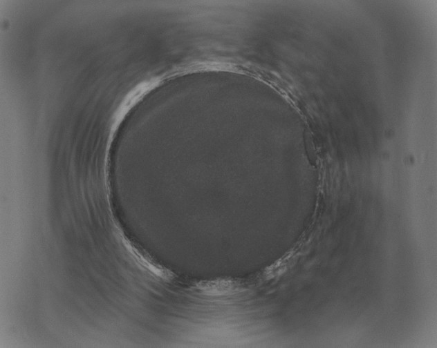 X0000070400104200606231812