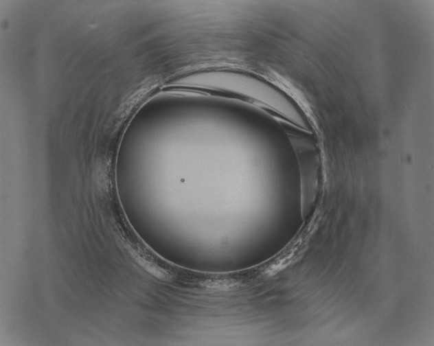 X0000070400105200606231812