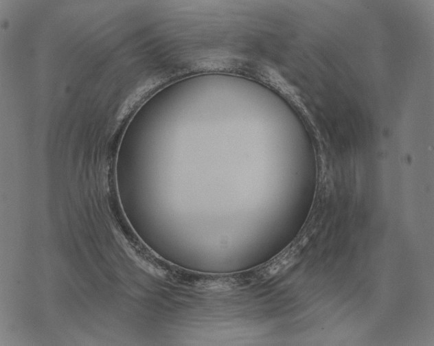 X0000070400106200606231812