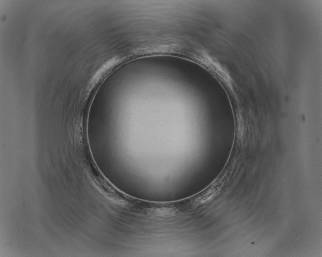 X0000070400107200606231812