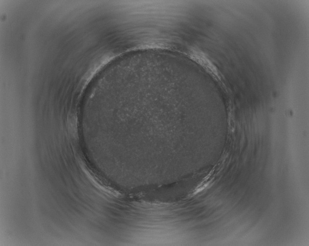 X0000070400108200606231812