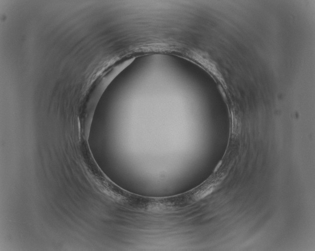 X0000070400109200606231812