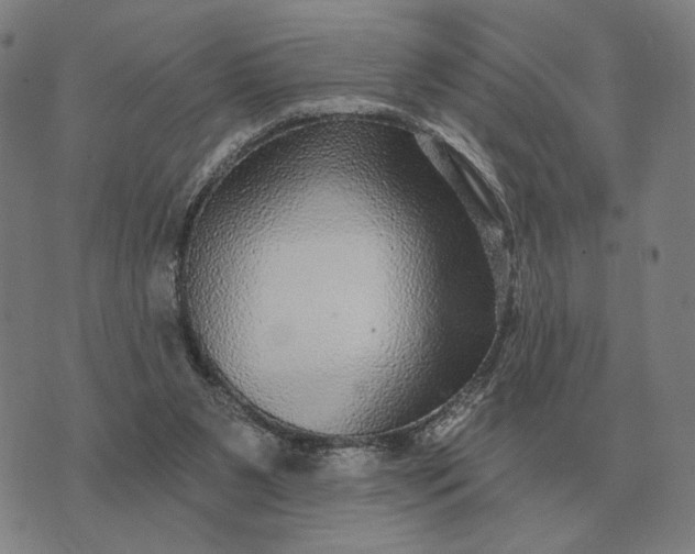 X0000070400111200606231812