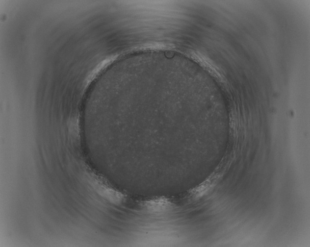 X0000070400112200606231812