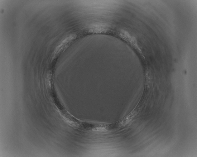 X0000070400114200606231812