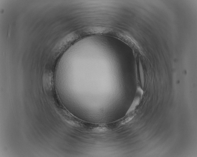 X0000070400119200606231812