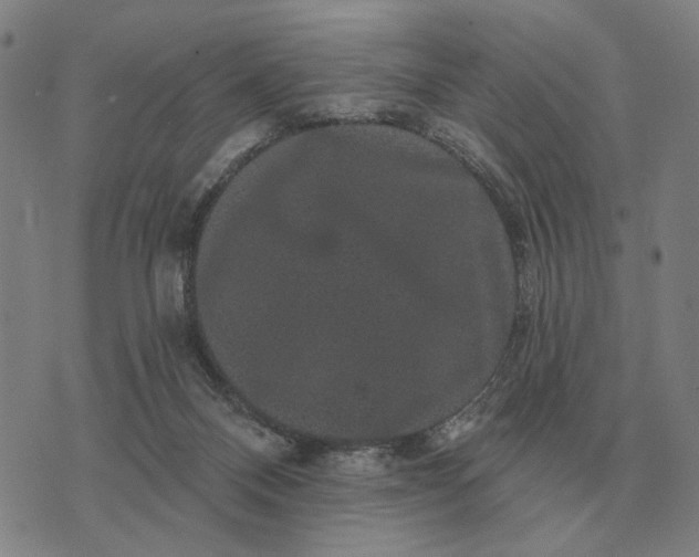 X0000070400120200606231812