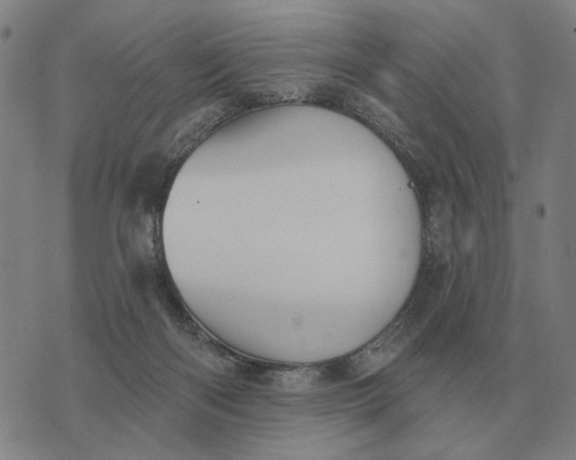 X0000070400122200606231812