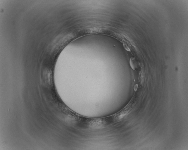 X0000070400123200606231812