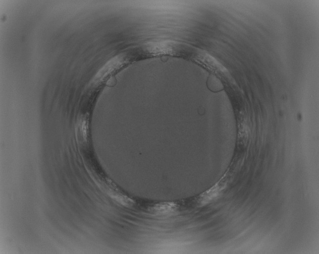 X0000070400124200606231812