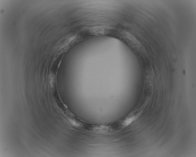 X0000070400125200606231812