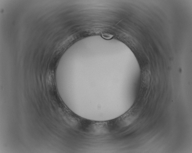 X0000070400126200606231812