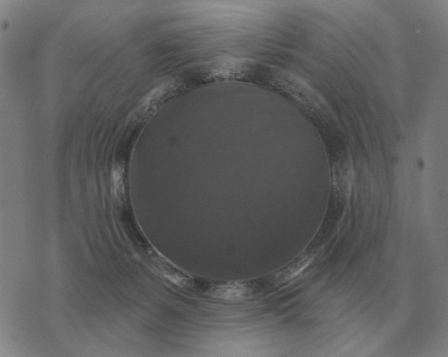 X0000070400127200606231812