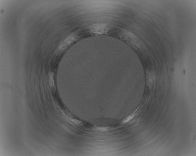 X0000070400128200606231812