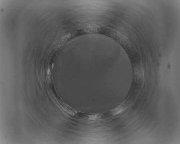 X0000070400130200606231812