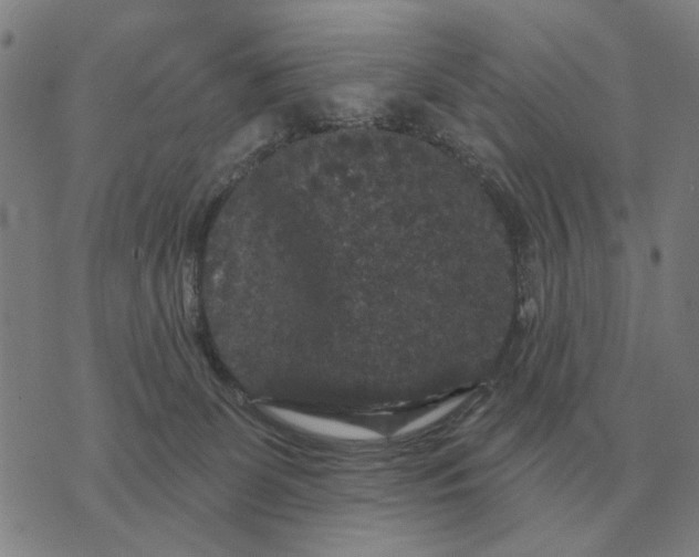 X0000070400131200606231812