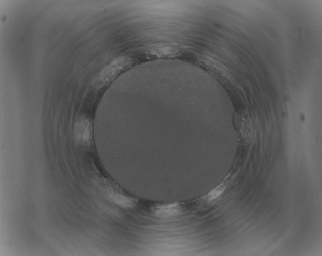 X0000070400132200606231812