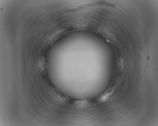 X0000070400133200606231812